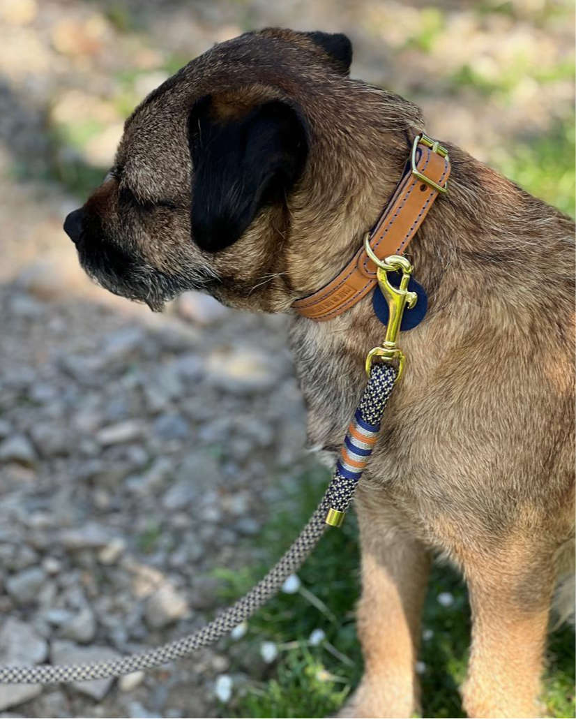 Leather and rope dog leads