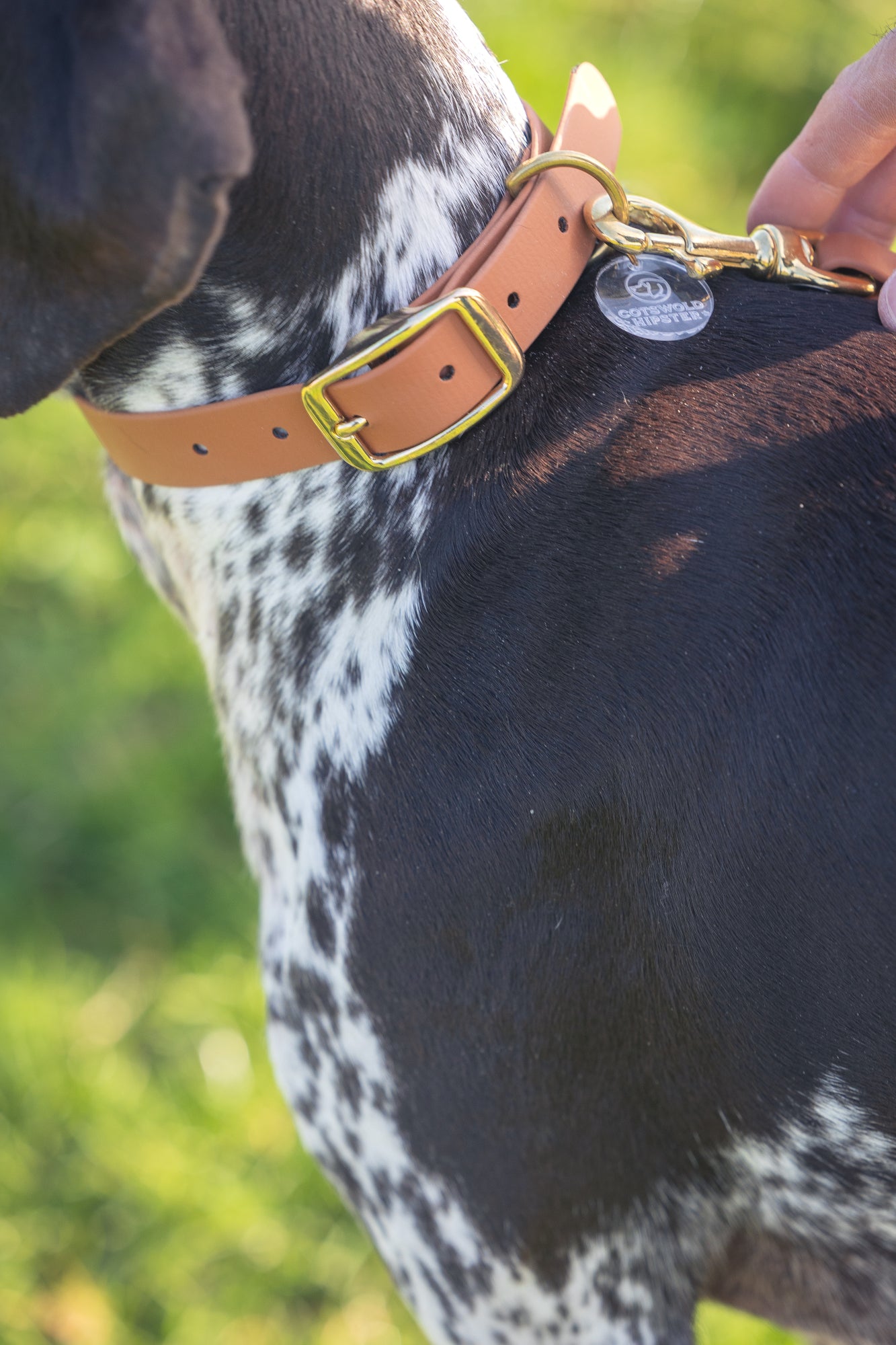 Tan BioThane® Dog Collar