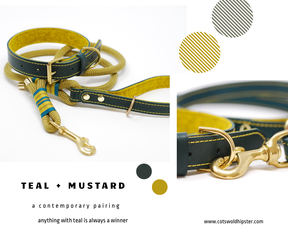 Mustard sales dog collar