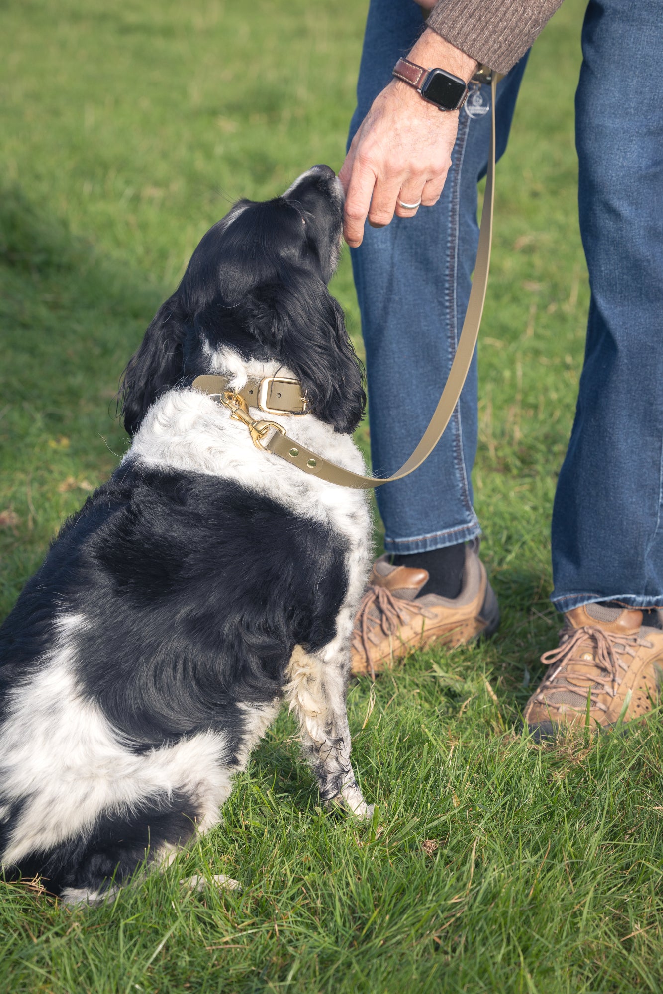 Olive BioThane® Dog Collar