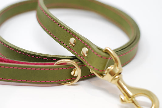 Leather dog leads