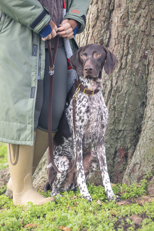 Dog standing next to a person wearing a green coat and beige boots, with a tree in the background.