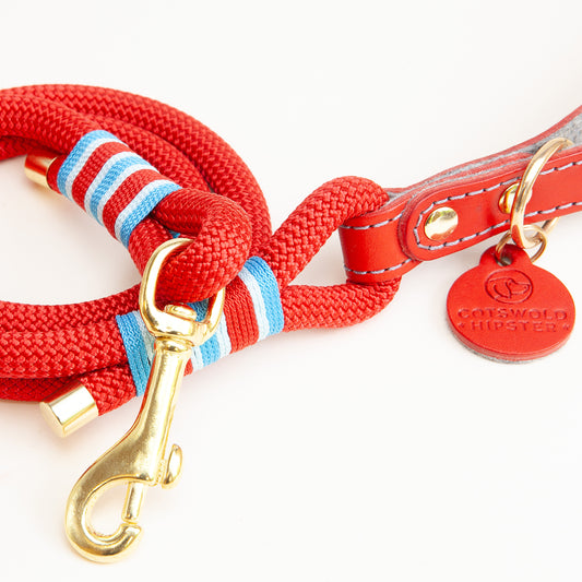 Leather and rope dog leads