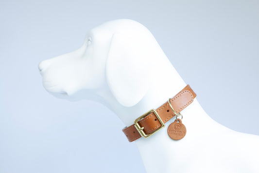 Side view of large dog wearing Tan & Natural handmade leather dog collar with wool felt lining and solid brass buckle, made by Cotswold Hipster