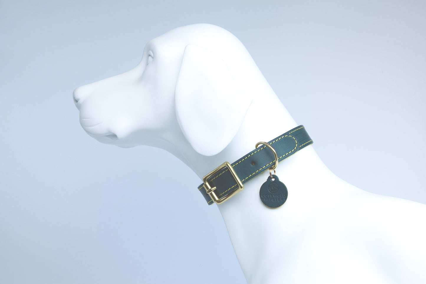 Large Teal leather collar with yellow stitching on a large dog, cotswold hipster