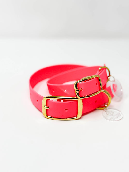 BE SEEN! Neon Pink BioThane® dog collars stacked, large and medium, solid brass hardware, high-visibility winter collars