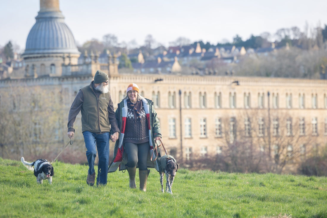 January Walks, Done Properly