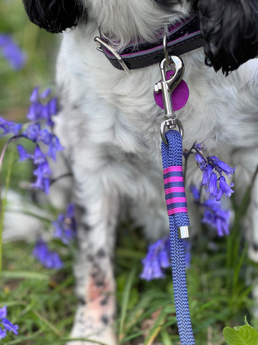 Handmade dog accessories from the Summer Fair Collection