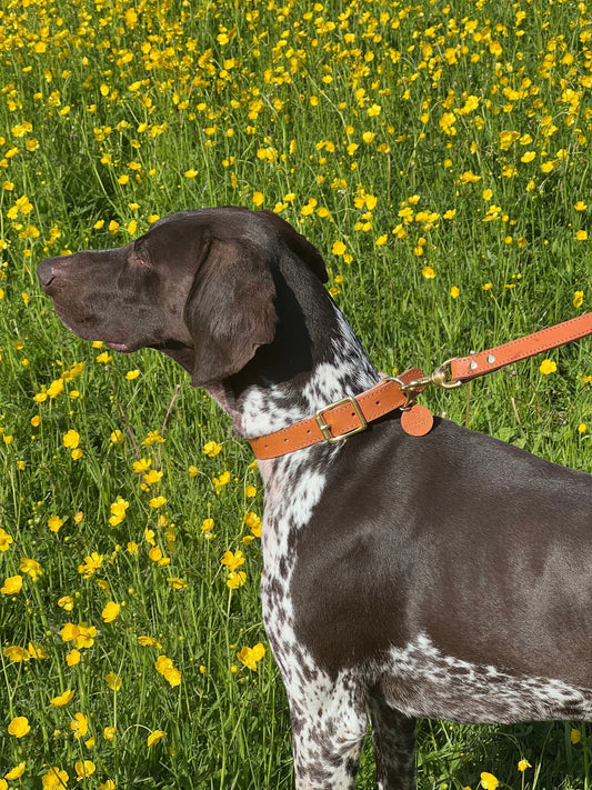 From Our Workshop to Your Walk: The Next Chapter of Cotswold Hipster