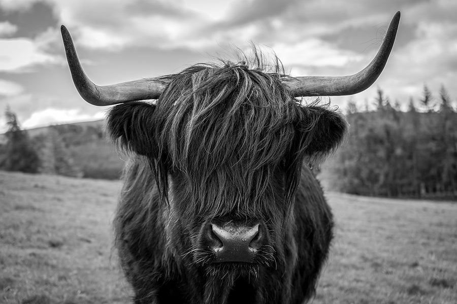 Glasgow Photographers Dominate Scottish Portrait Awards