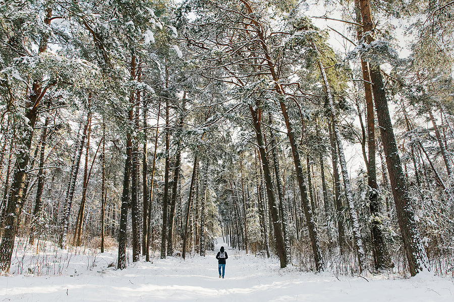 Tips For Staying Safe On Winter Walks