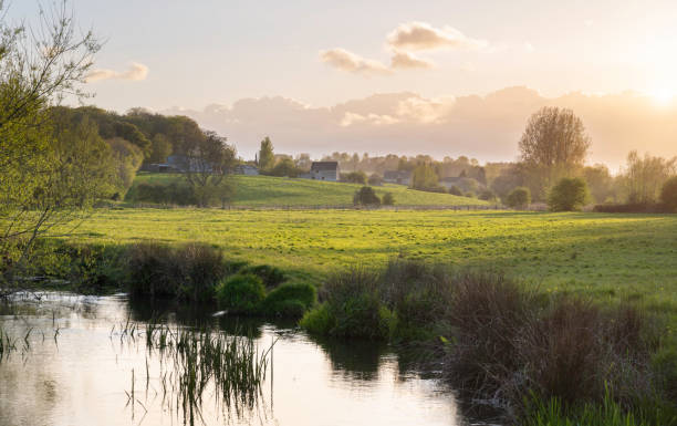 A Cotswold Gift Guide for Dog Lovers | From our Burford Collective