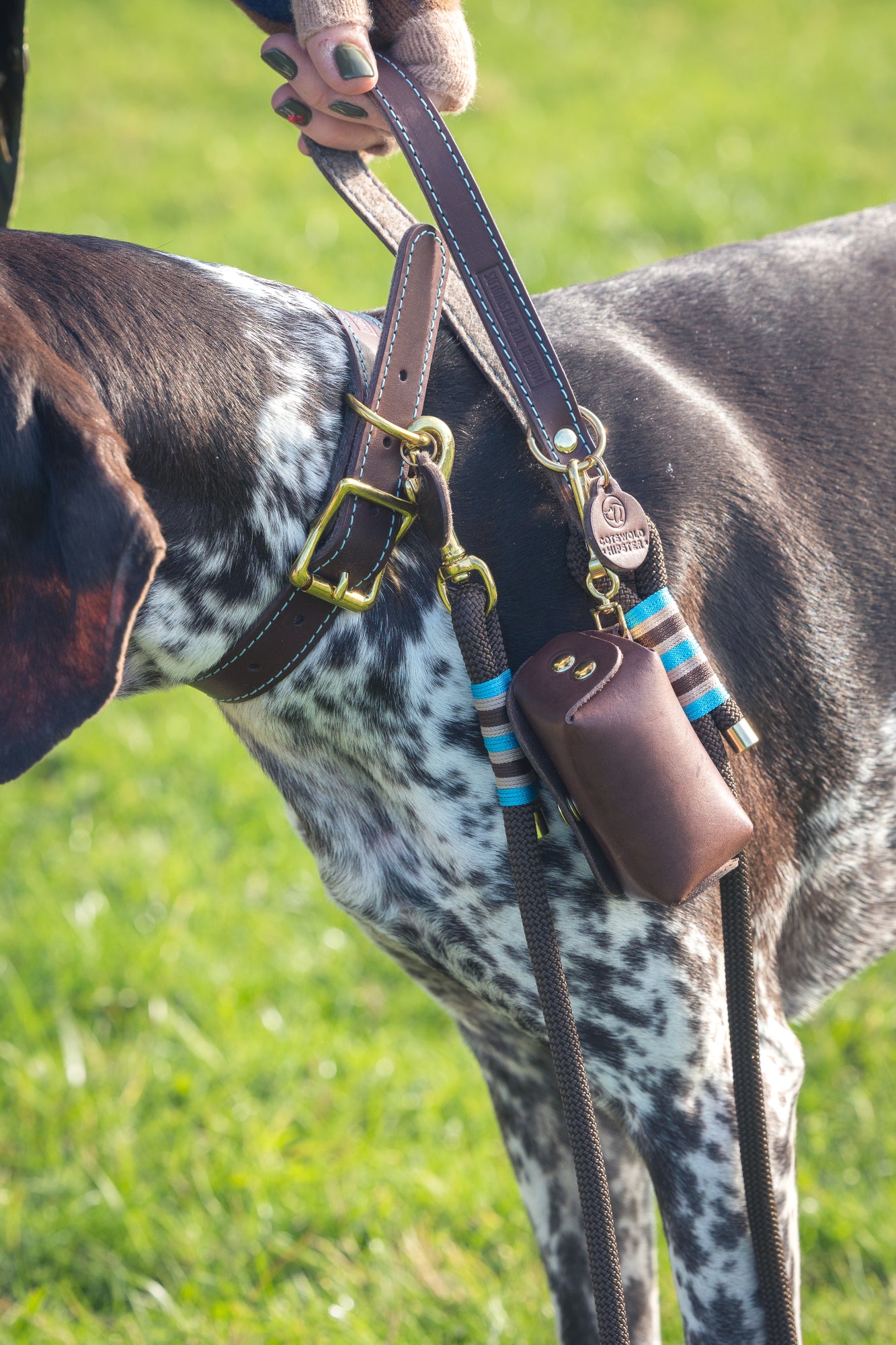 Leather Poo Bag Holder