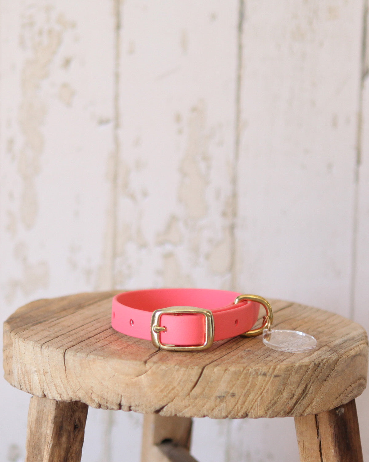 XS Coral BioThane® dog collar, handcrafted in the Cotswolds for everyday adventures.