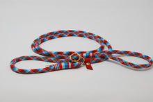 Leather and felt dog collars and leads - Poppy and Sky