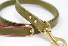 Leather and felt dog collars and leads - Olive and raspberry