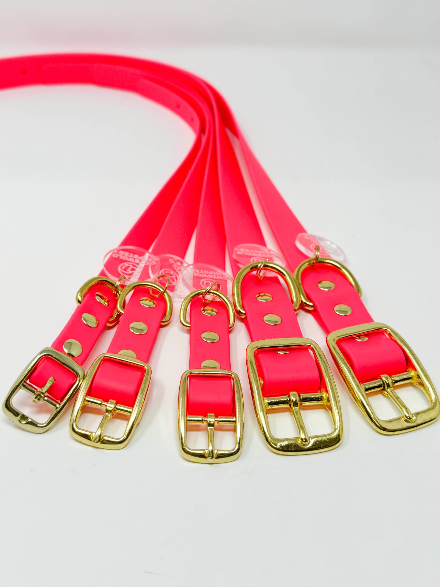 Array of all sizes of the Neon Pink dog collar laid out to show brass buckles and hardware details