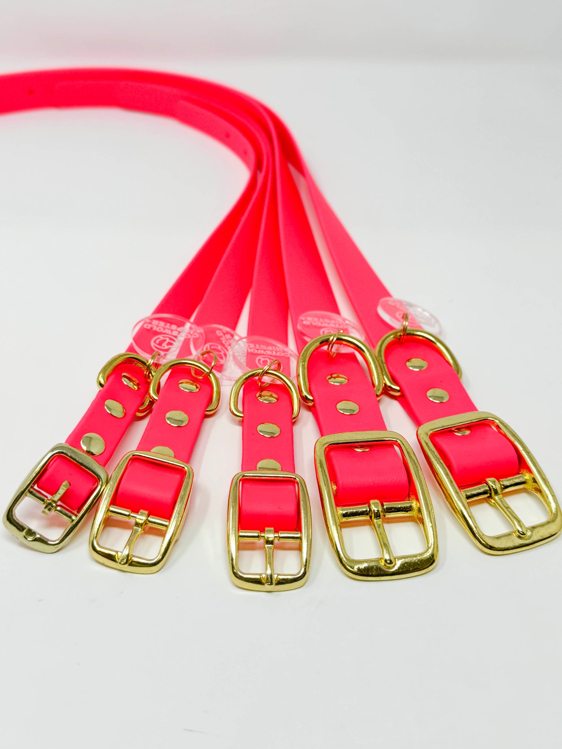 Array of all sizes of the Neon Pink dog collar laid out to show brass buckles and hardware details