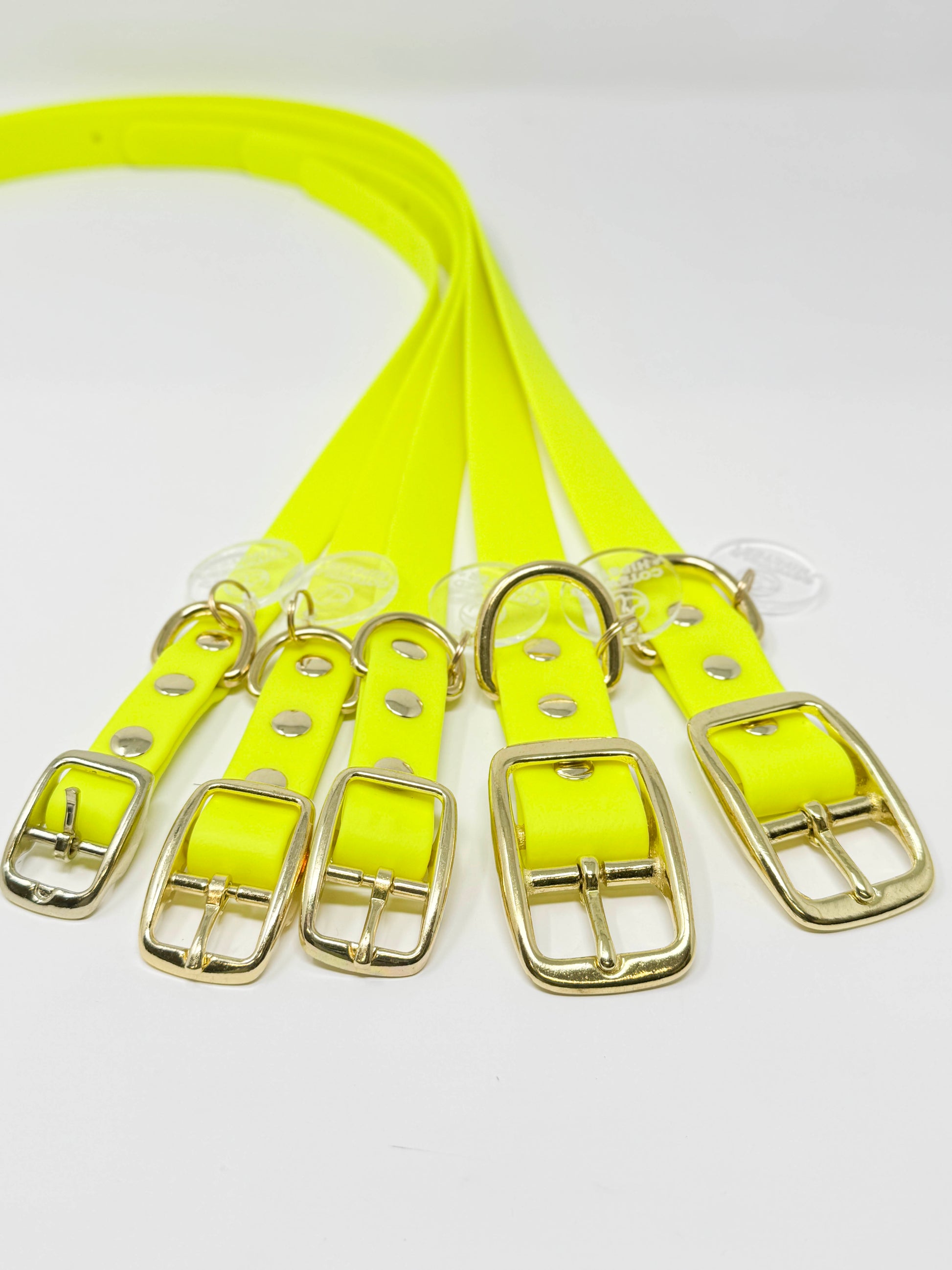 Array of all sizes of the Neon Yellow dog collar laid out to show brass buckles and hardware details