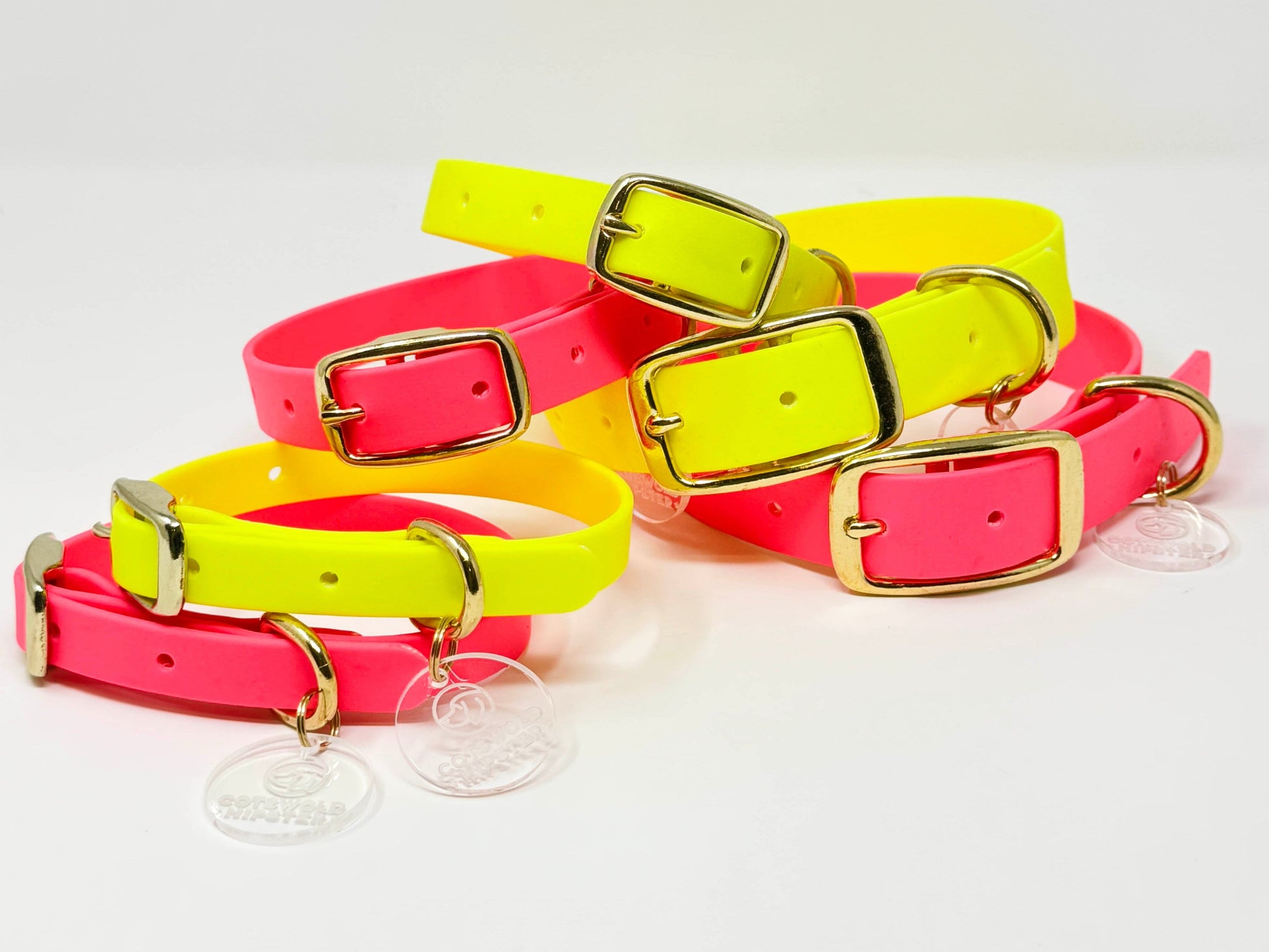 BE SEEN! Neon Pink and Neon Yellow BioThane® dog collars together, brass hardware, high-visibility winter collars.