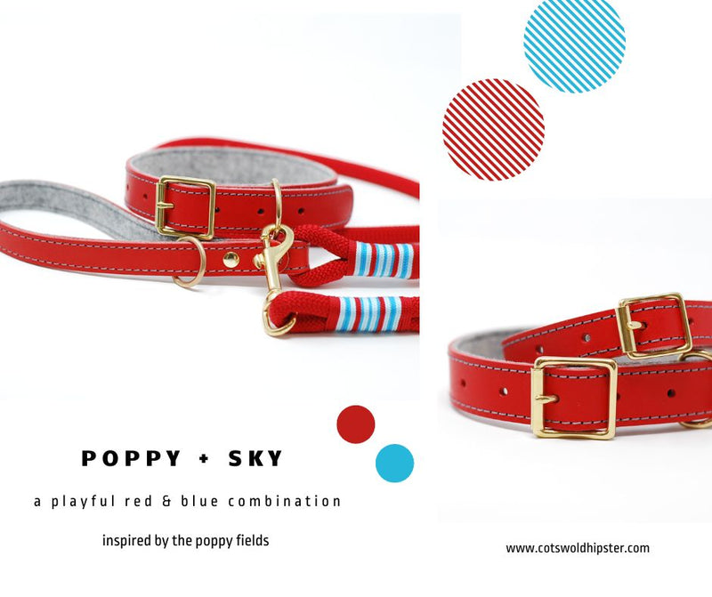 Leather and felt dog collars and leads Poppy and Sky Cotswold