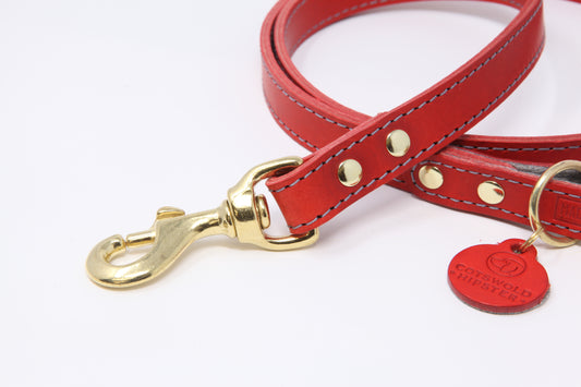 Leather dog leads