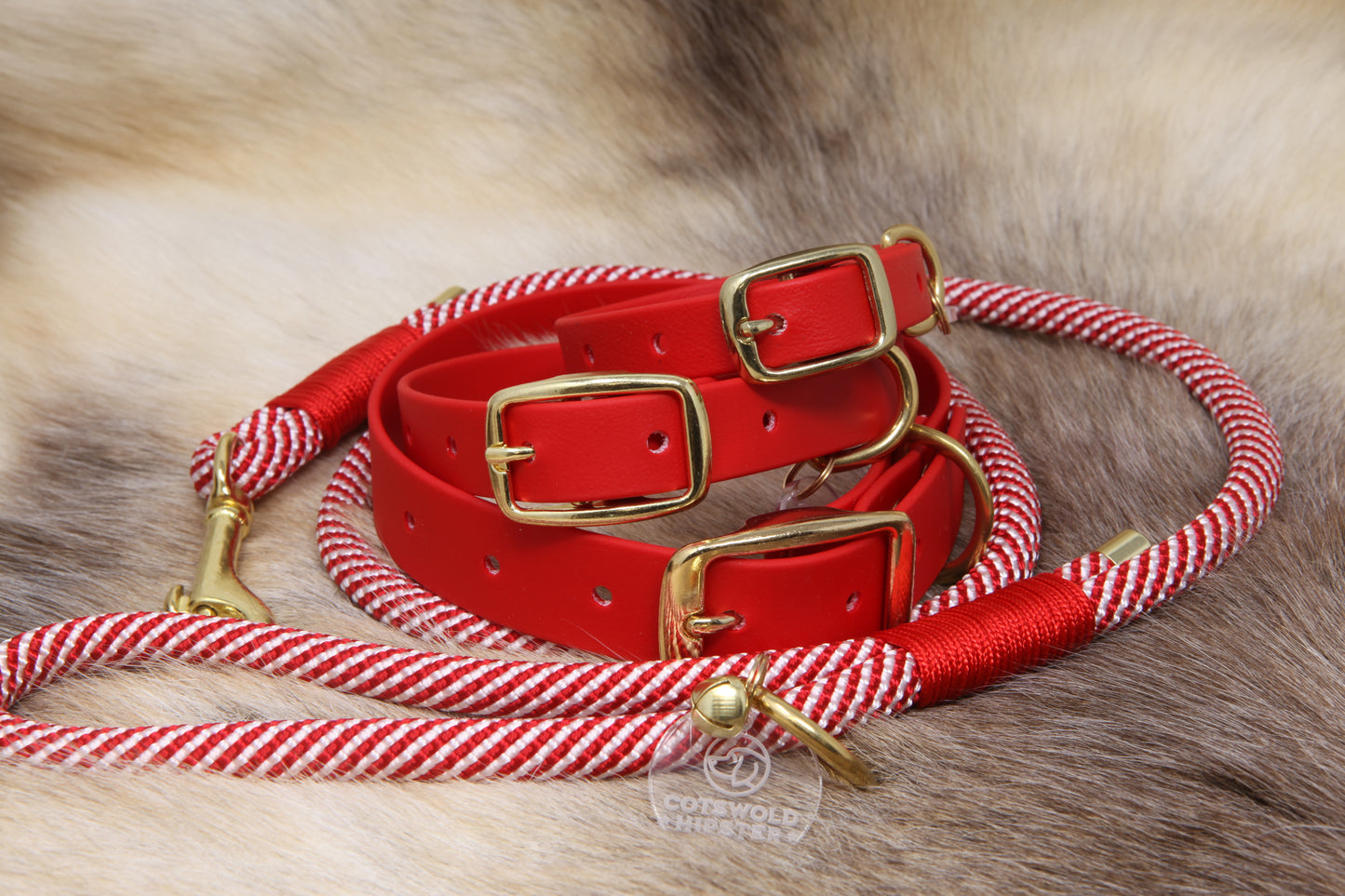 Red BioThane®  dog collar with brass buckles and rope candy-cane lead on a reindeer background