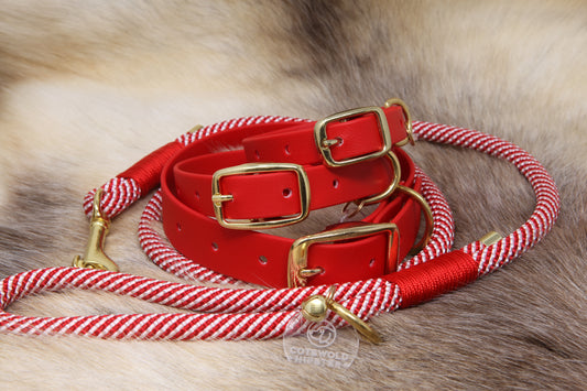 Red BioThane®  dog collar with brass buckles and rope candy-cane lead on a reindeer background
