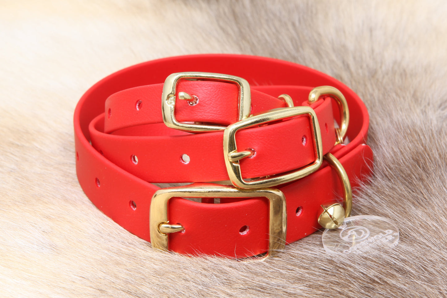 Festive red dog collar and lead collection with brass hardware