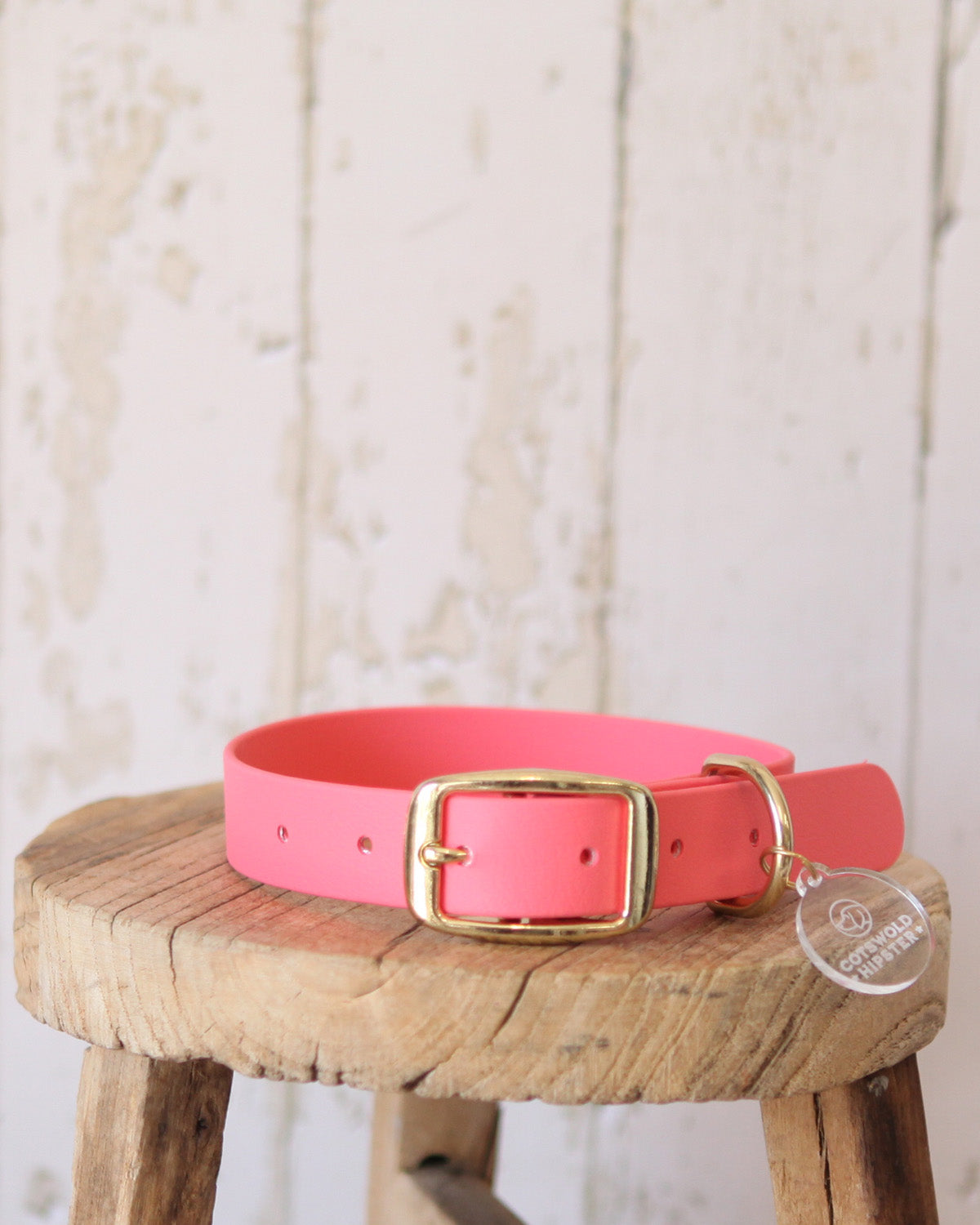 Large Coral BioThane® dog collar, waterproof and handcrafted in the Cotswolds.