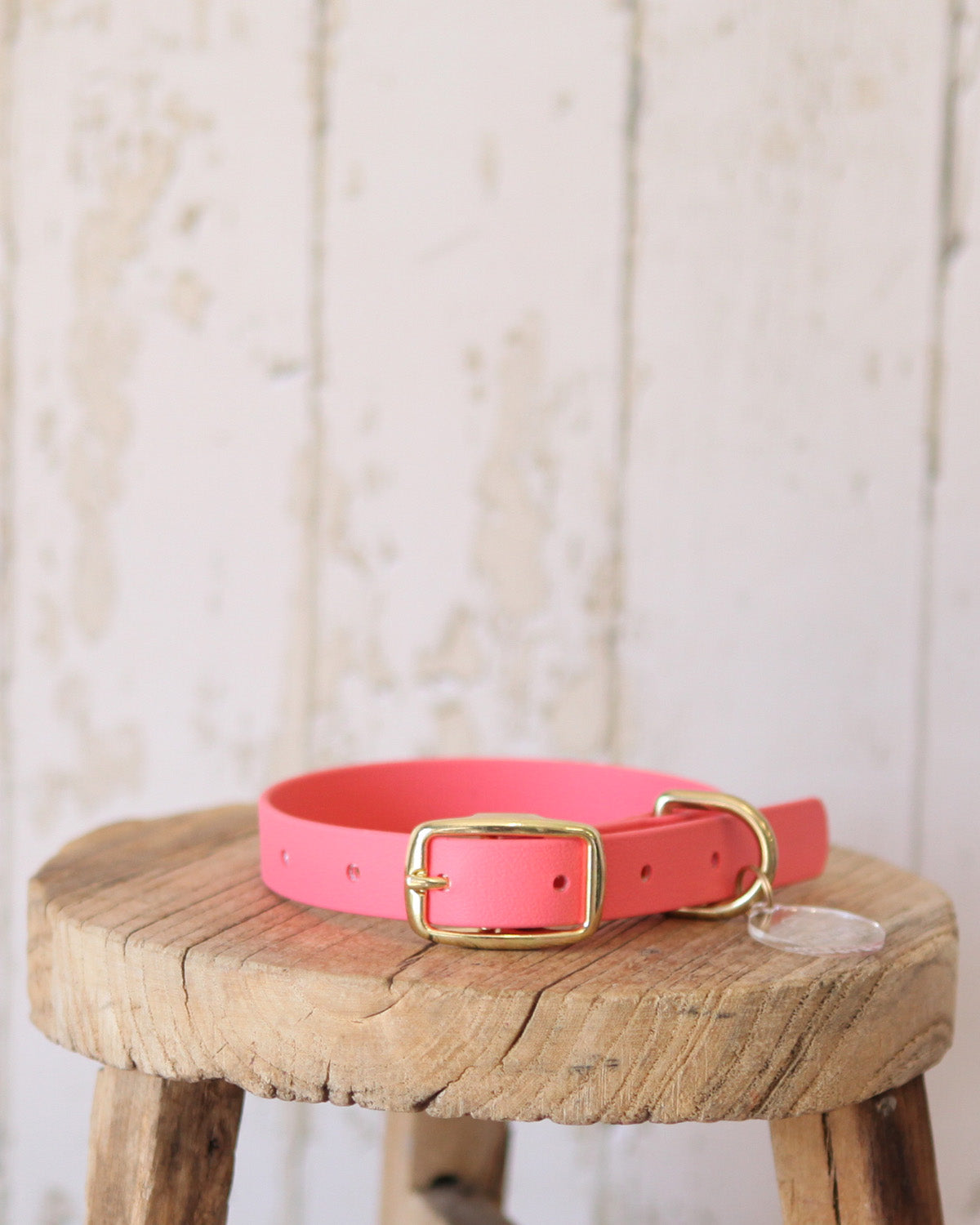 Medium Coral BioThane® dog collar, waterproof and easy to clean, handcrafted in the Cotswolds.