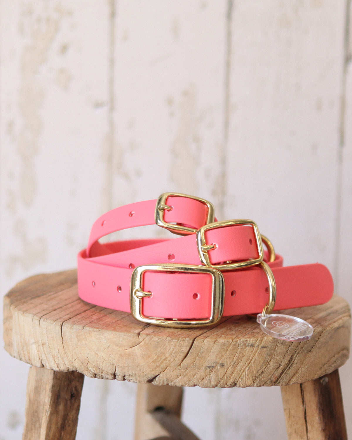 Coral BioThane® dog collars shown in three sizes, handcrafted in the Cotswolds.