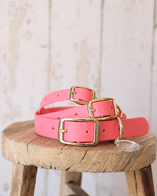 Coral BioThane® dog collars shown in three sizes, handcrafted in the Cotswolds.