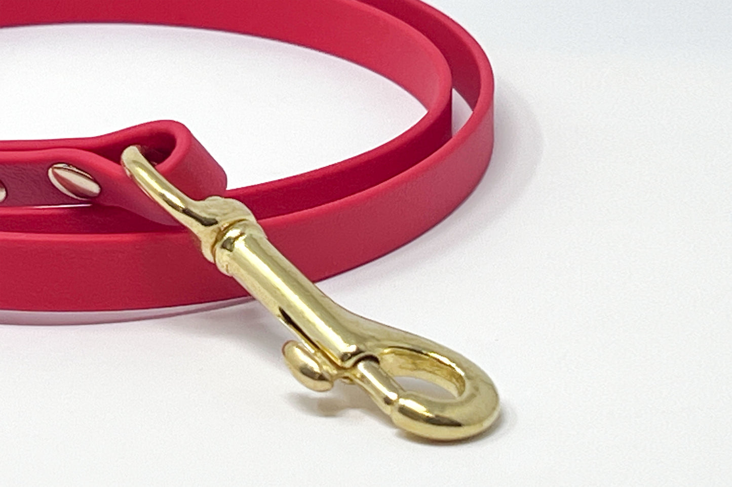 Red BioThane® Dog Lead